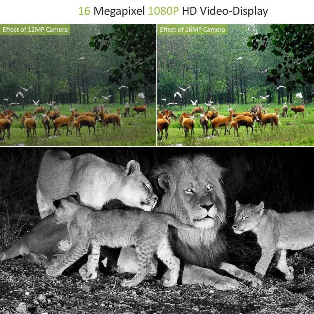 Caméra de chasse miniature MiNi301 20MP 1080P vision nocturne étanche sans fil piège photo pour observation faune