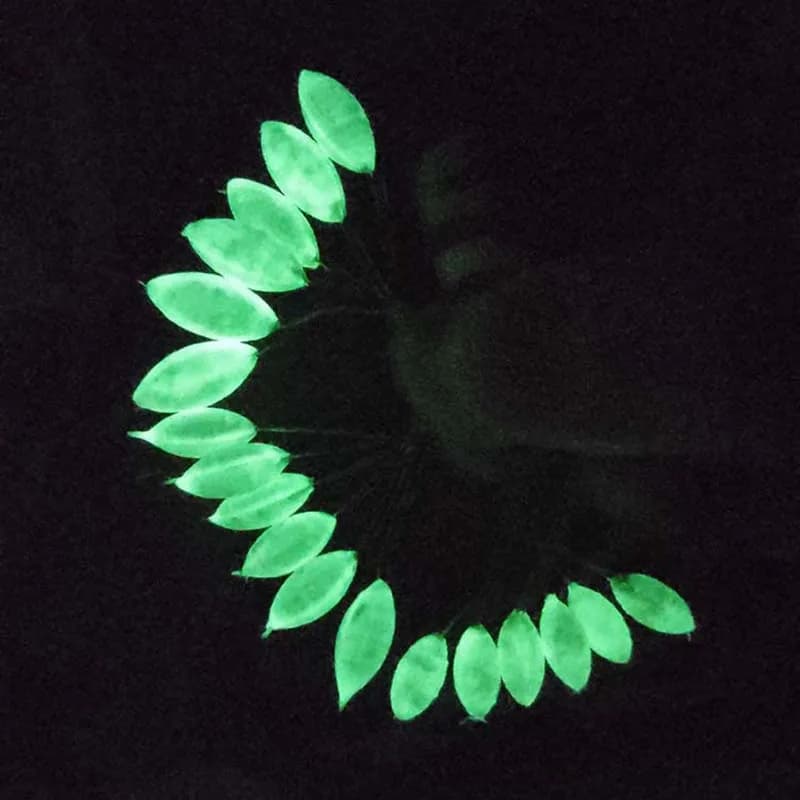 Lot de 5 flotteurs luminescents ovales 7 étoiles 11-15mm pour carpe, accessoire pêche