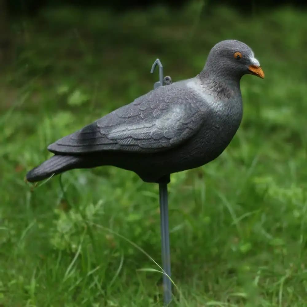 Leurre pigeon réaliste ailes flockées 30cm avec piquets pour pêche décoration jardin