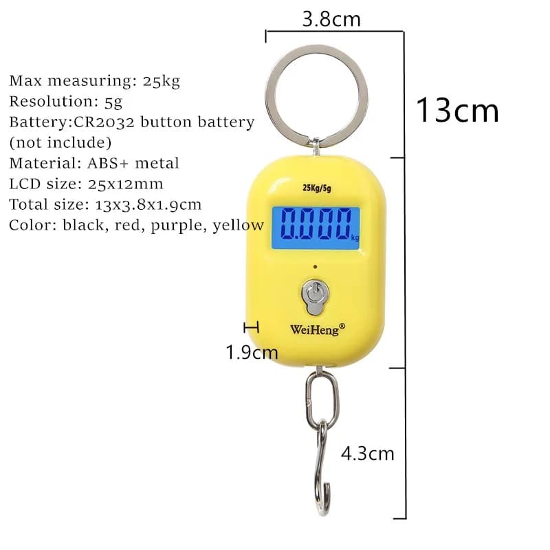 Mini balance numérique 25kg pour pêche et voyage - Précision 5g, crochet porte-clés LCD