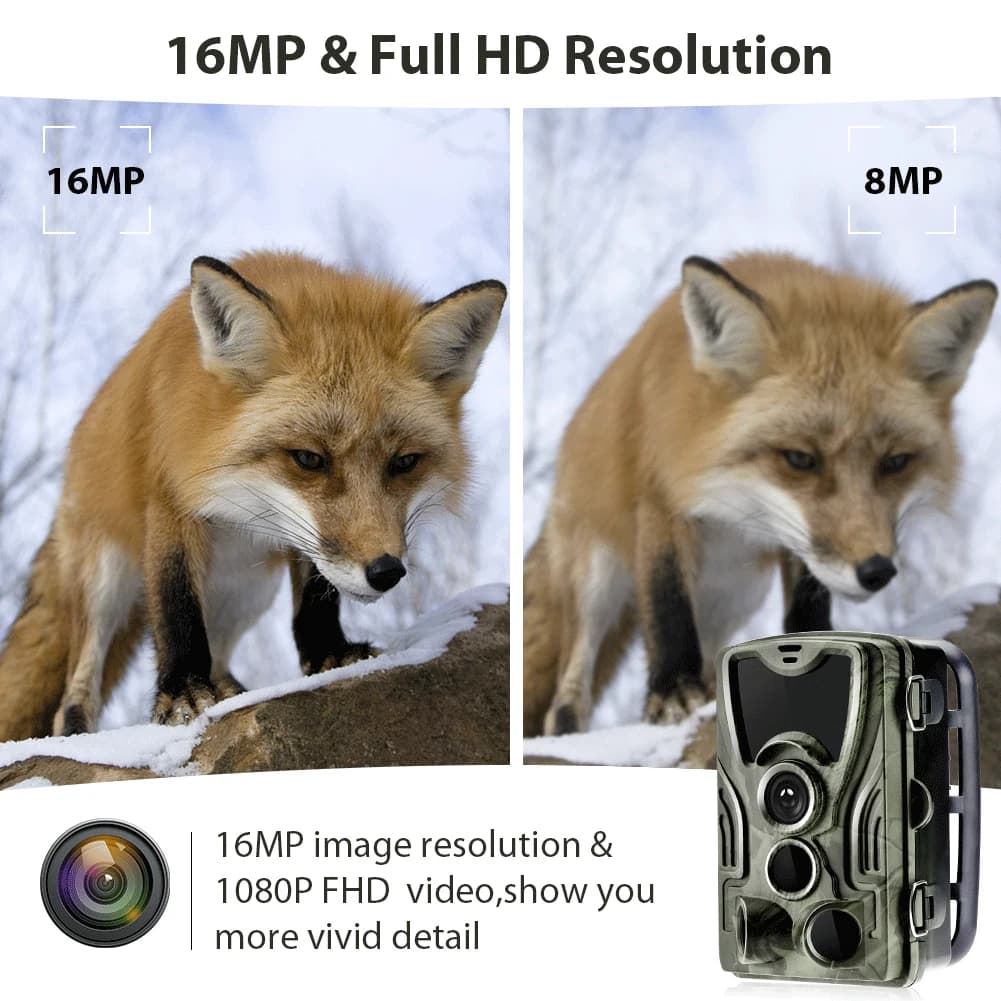 Caméra de traque LCD 2.0 pouces 20MP 1080P HC801A - Surveillance faune sans fil étanche vision nocturne