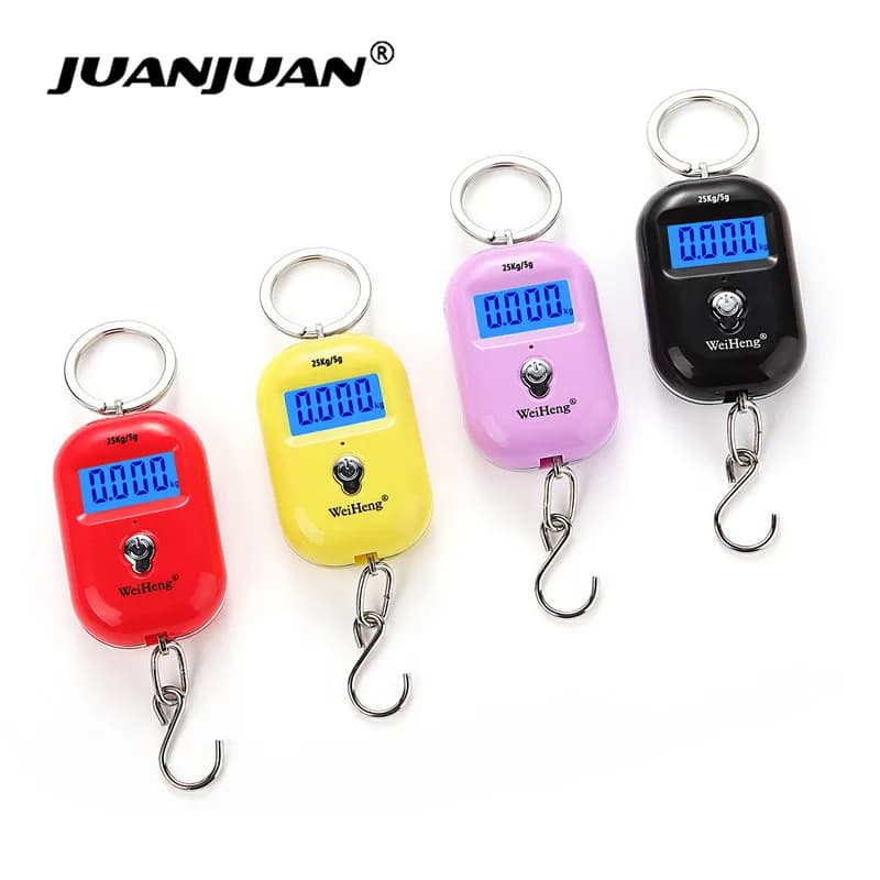 Mini balance électronique portable 25kg/5g avec crochet et rétroéclairage pour bagages et pêche JUANJUAN