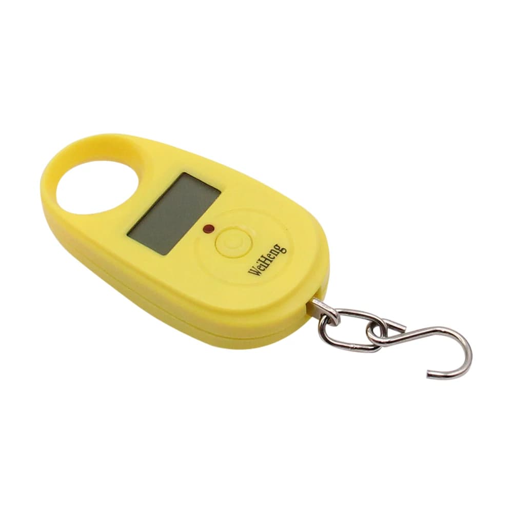 Mini balance pêche numérique portable 25kg x 5g pour bagages voyage clés électronique avec crochet