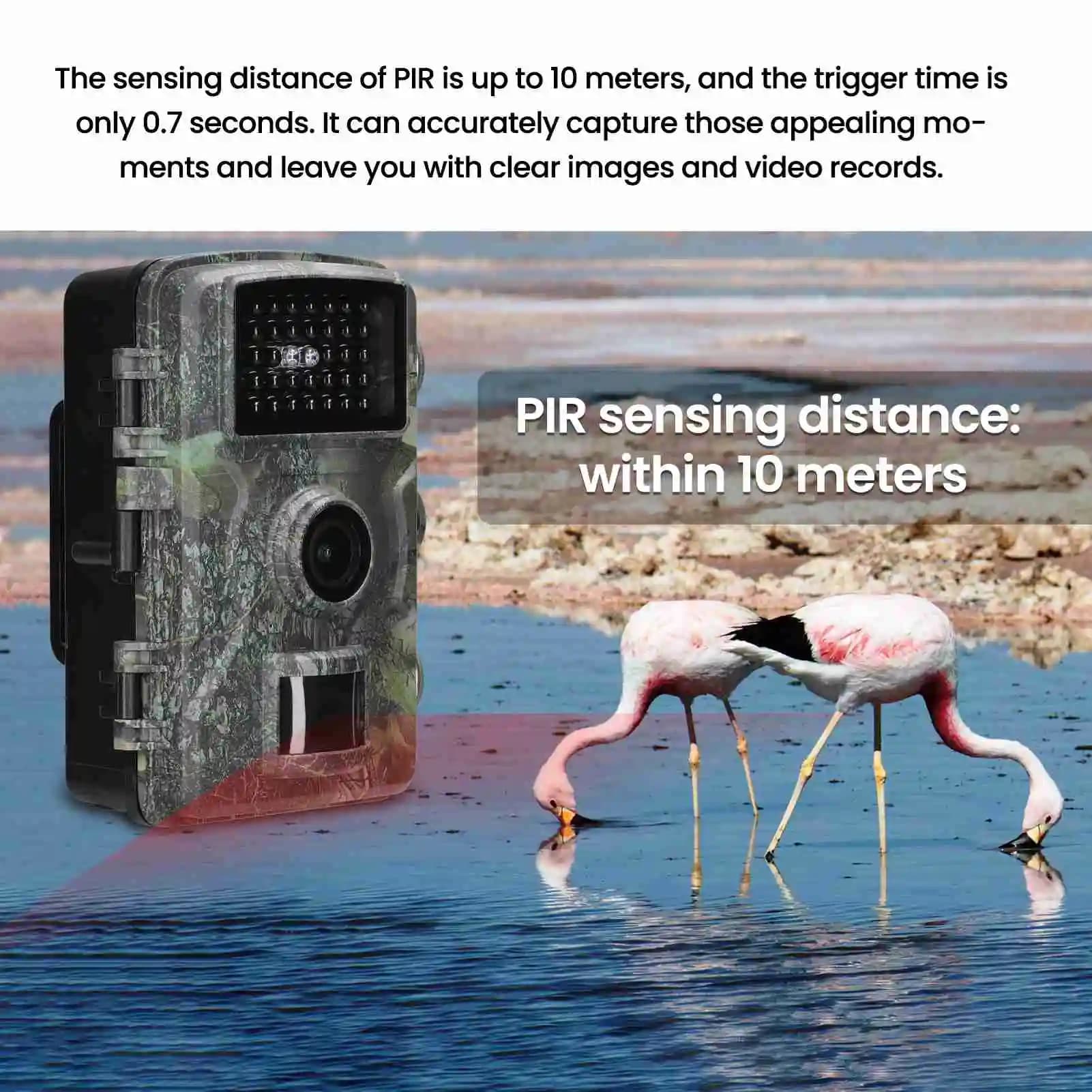 Caméra trail étanche IP66 2.0 pouces 1080P 16MP pour surveillance ferme observation champ pêche