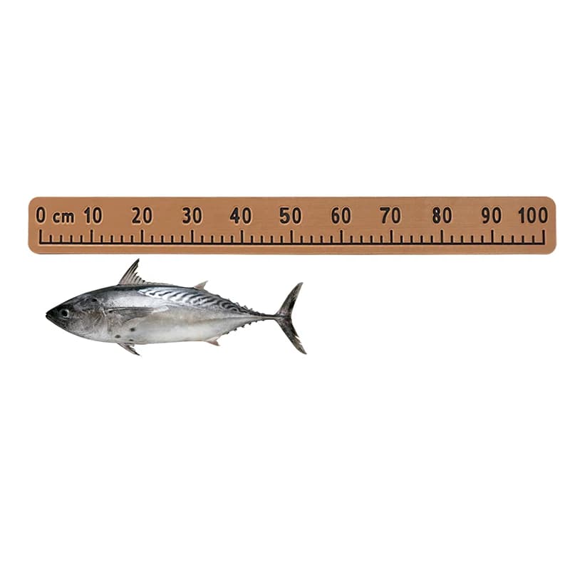 Règle de mesure adhésive EVA 100cm pour bateau de pêche et kayak, sticker autocollant pour mesurer vos poissons