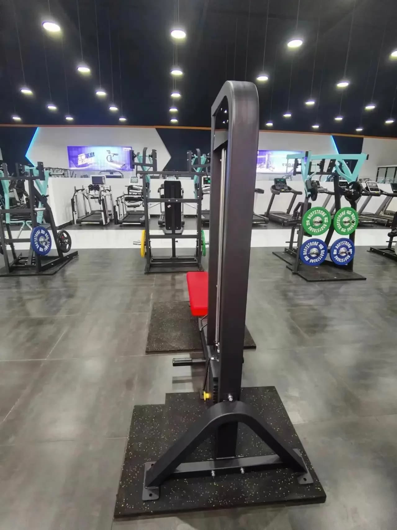 Station d'entraînement multifonction barres parallèles pour flexion et extension des membres supérieurs