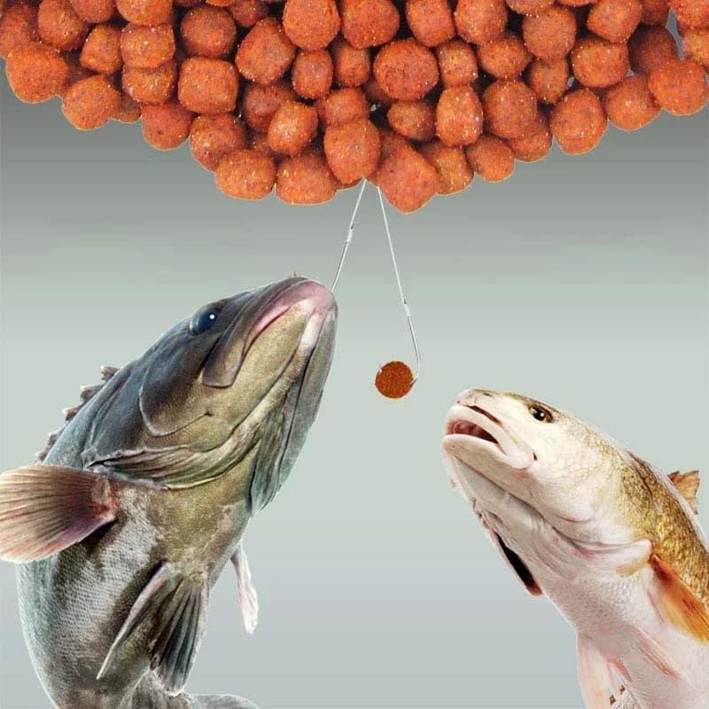 Additif aromatique concentré pour appâts de pêche - Saveurs adaptées à la plupart des équipements de pêche
