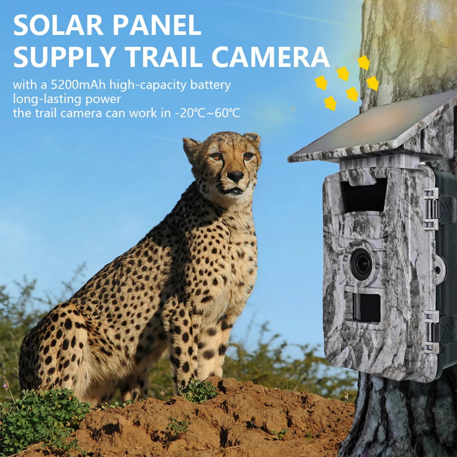 Caméra solaire WiFi APP 4K 60MP étanche IP66 - Contrôle mobile pour surveillance animalière professionnelle