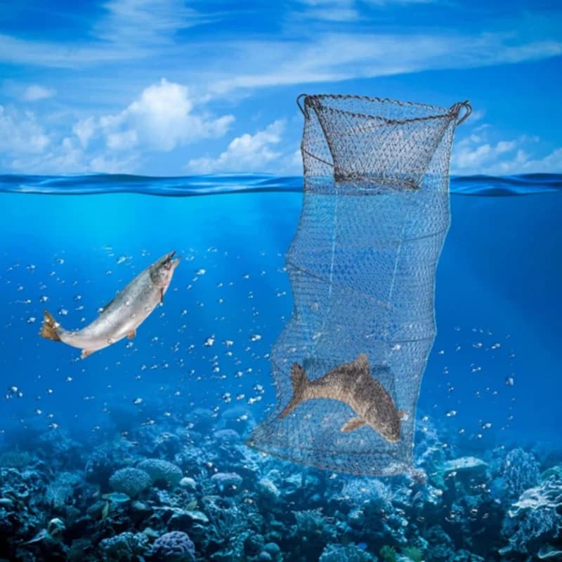 Piège à poissons pliable et portable pour écrevisses, crabes et crevettes, filet de pêche télescopique