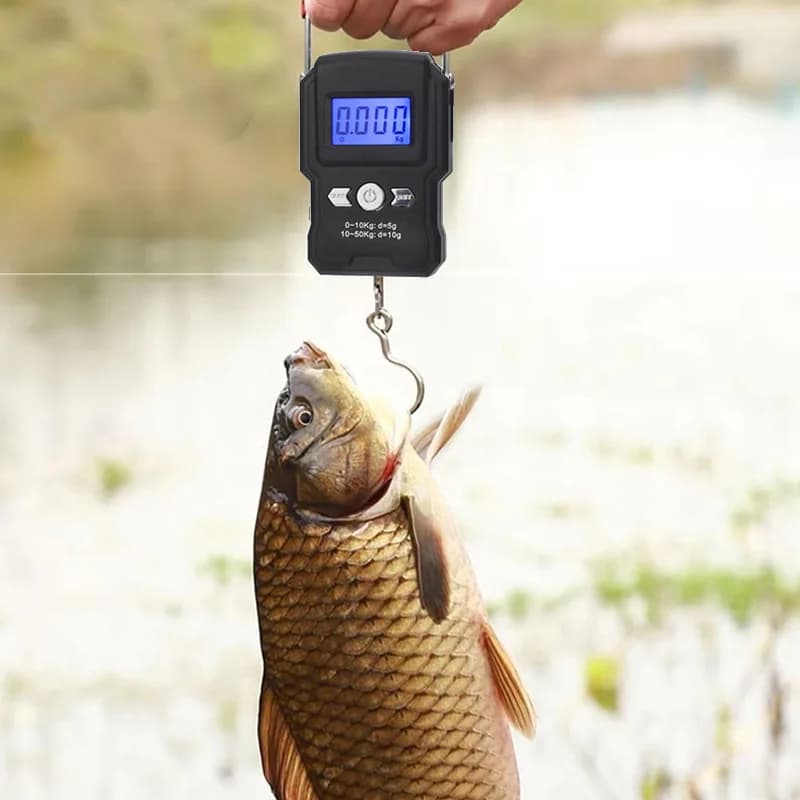 Balance électronique WEIHE 50 kg pour pêche au leurre - Outil portable et précis