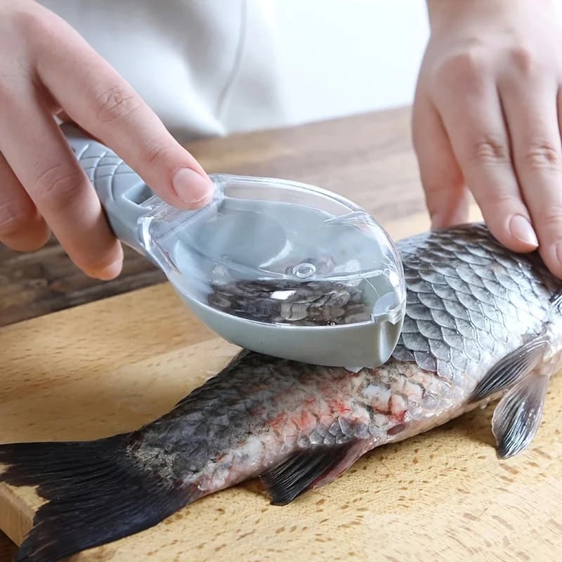 Grattoir à écailles de poisson rapide en plastique outil de cuisine pour nettoyer poisson facilement