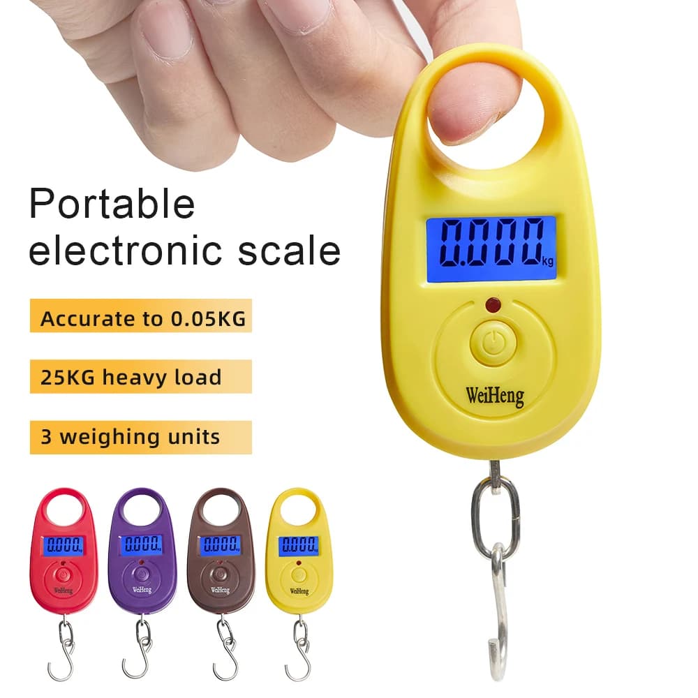 Mini balance numérique 25Kg 5g portable avec crochet pour pêche et bagages