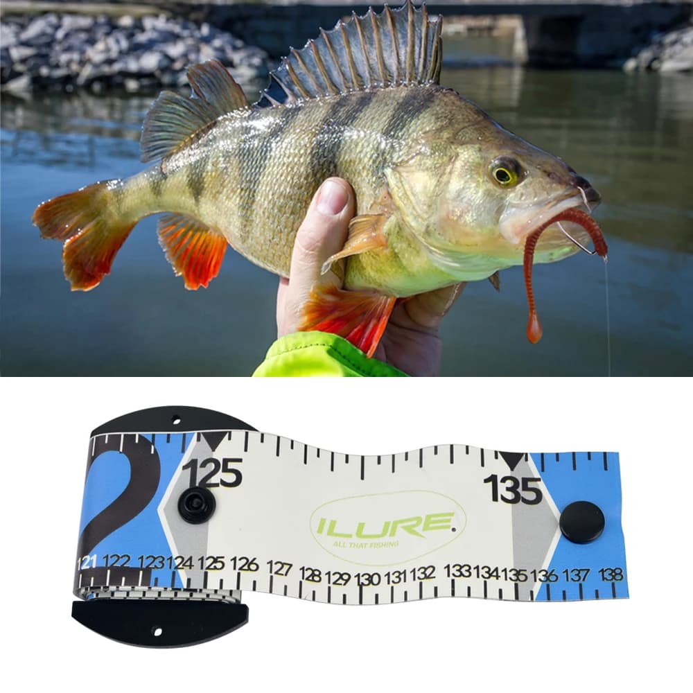 Règle à poisson étanche Ailuya 1.35m avec plaque - Mesure colorée pour équipement de pêche