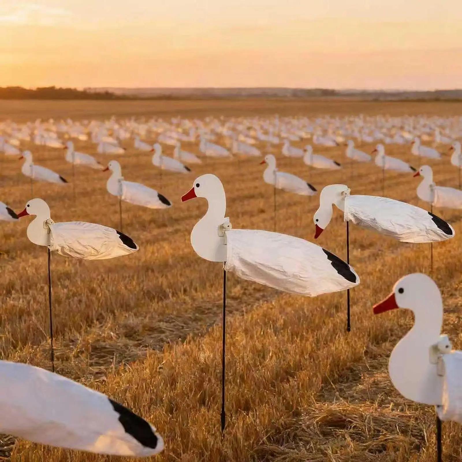 Leurres silhouette oie avec piquets légers résistants aux intempéries - Attraction oiseaux chasse