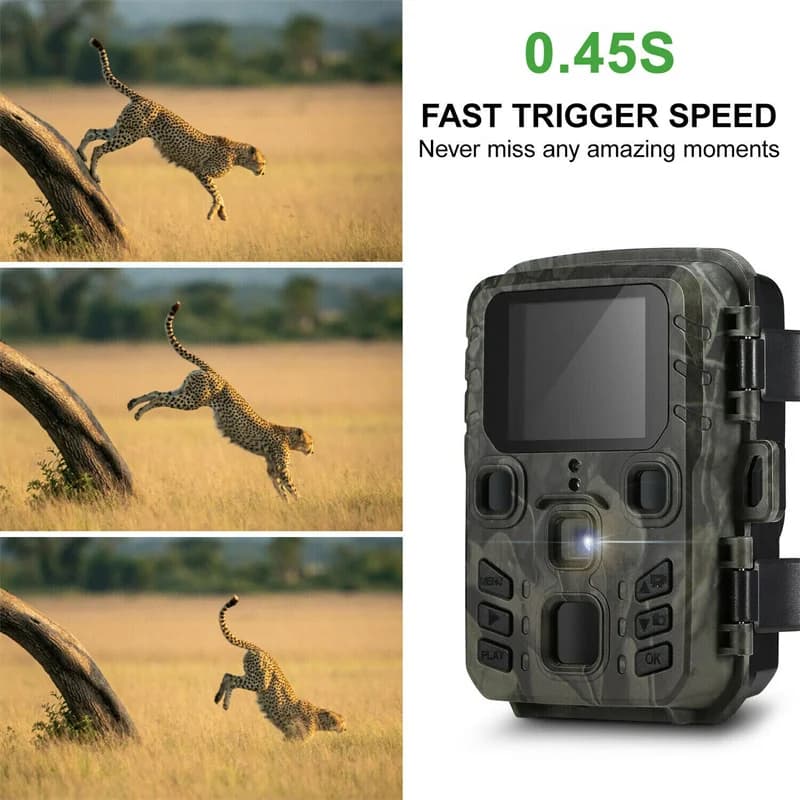 Pack 2 mini caméras de chasse 20MP 1080P étanches IP66 vision nocturne surveillance faune