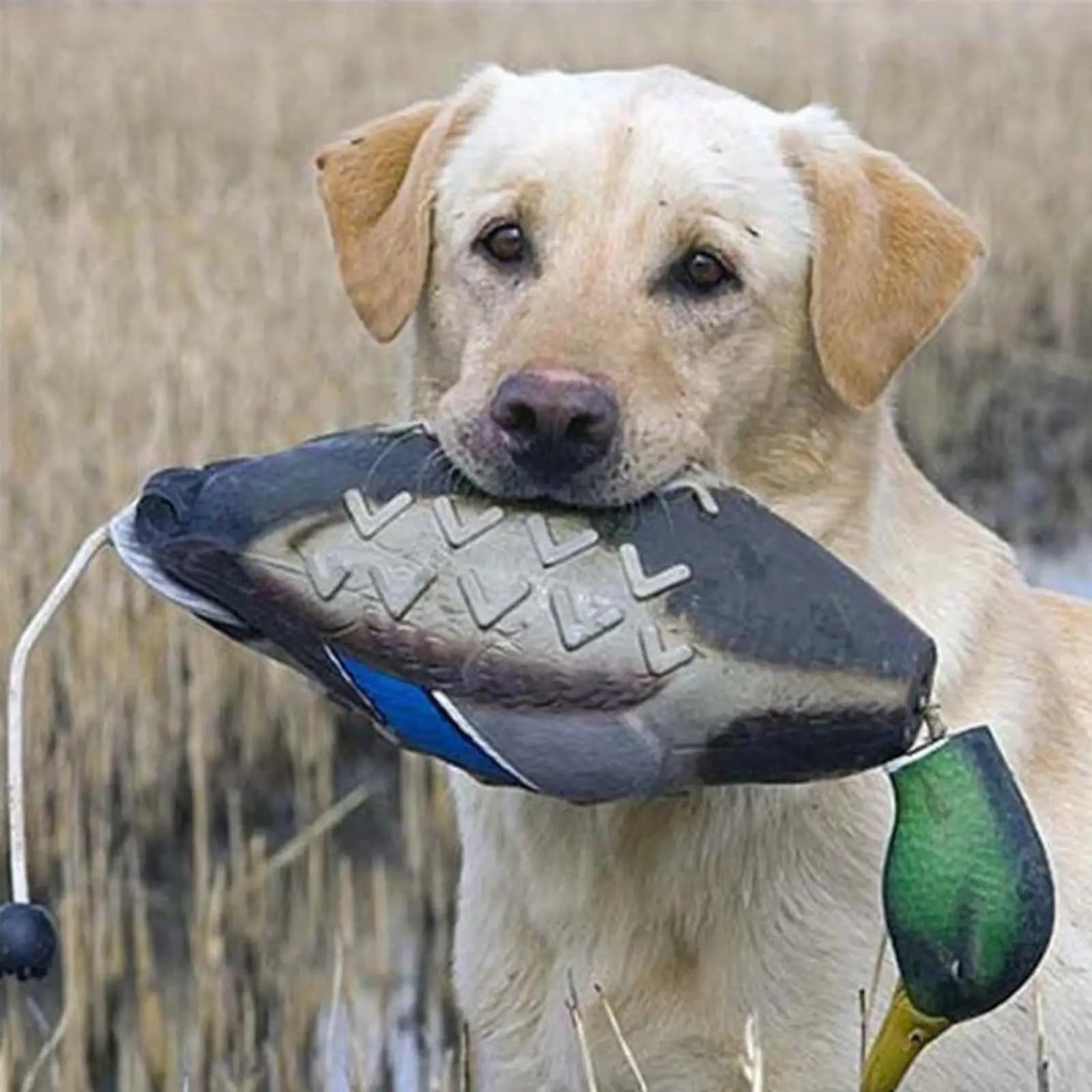 Leurre canard colvert EVA pour chasse et décoration camping - Déco étang et extérieur