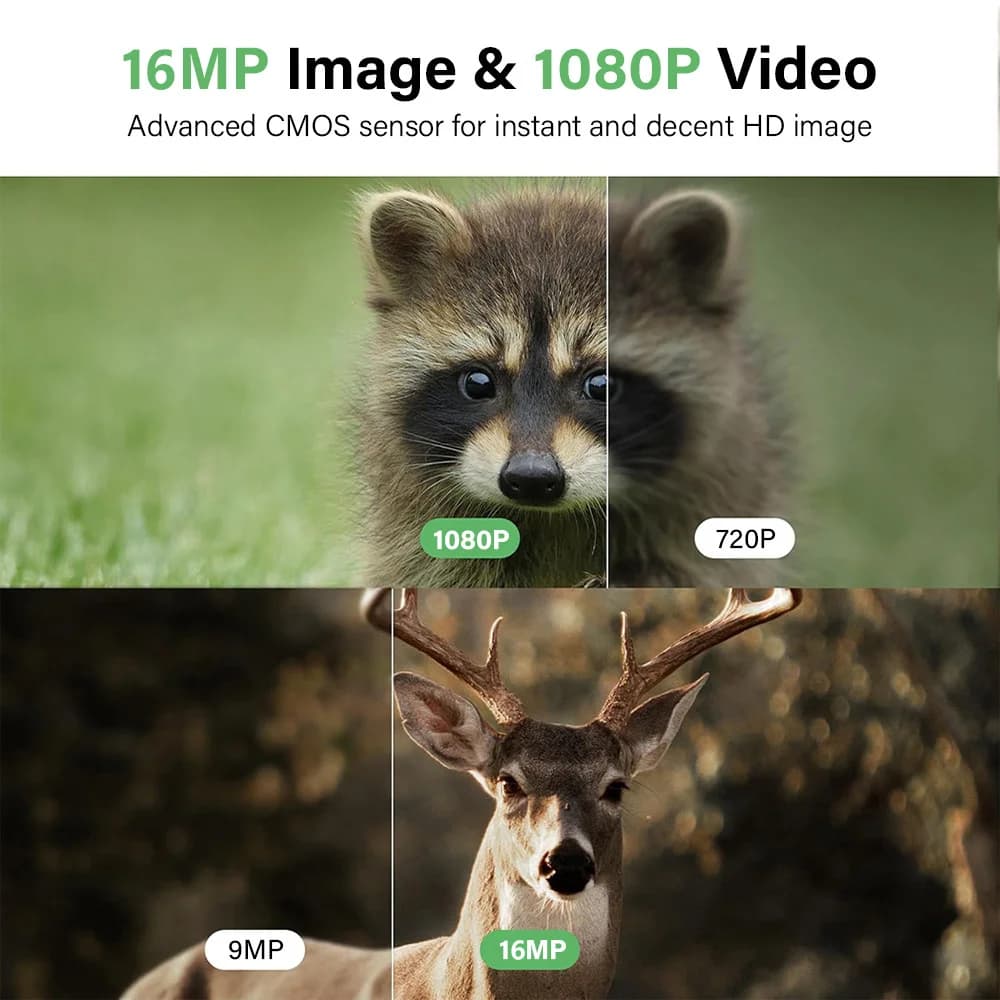 Caméra de chasse 16MP 1080P infrarouge 940nm - Détection de mouvement pour pièges photos wildlife