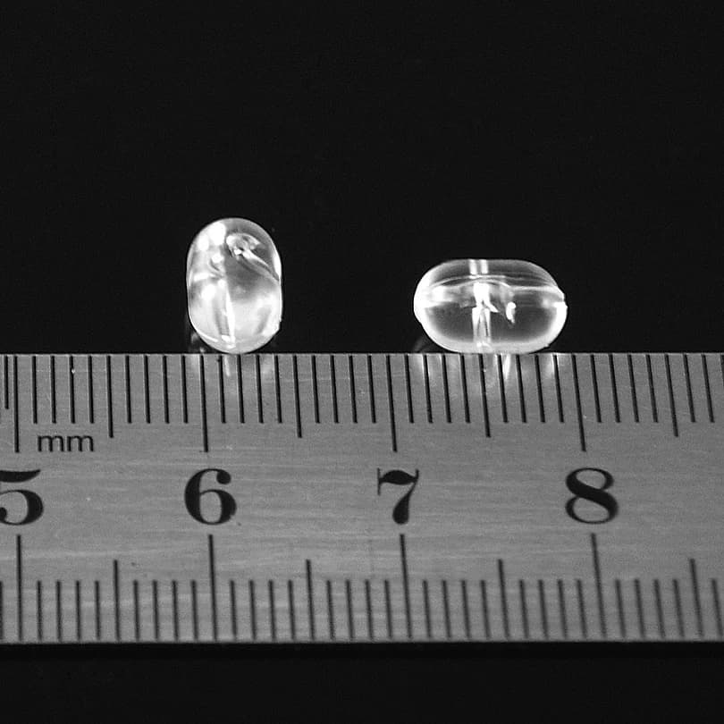 Perles de pêche MNFT 100PCS transparentes ovales à double trou pour montage Sabiki et connecteurs 3 voies