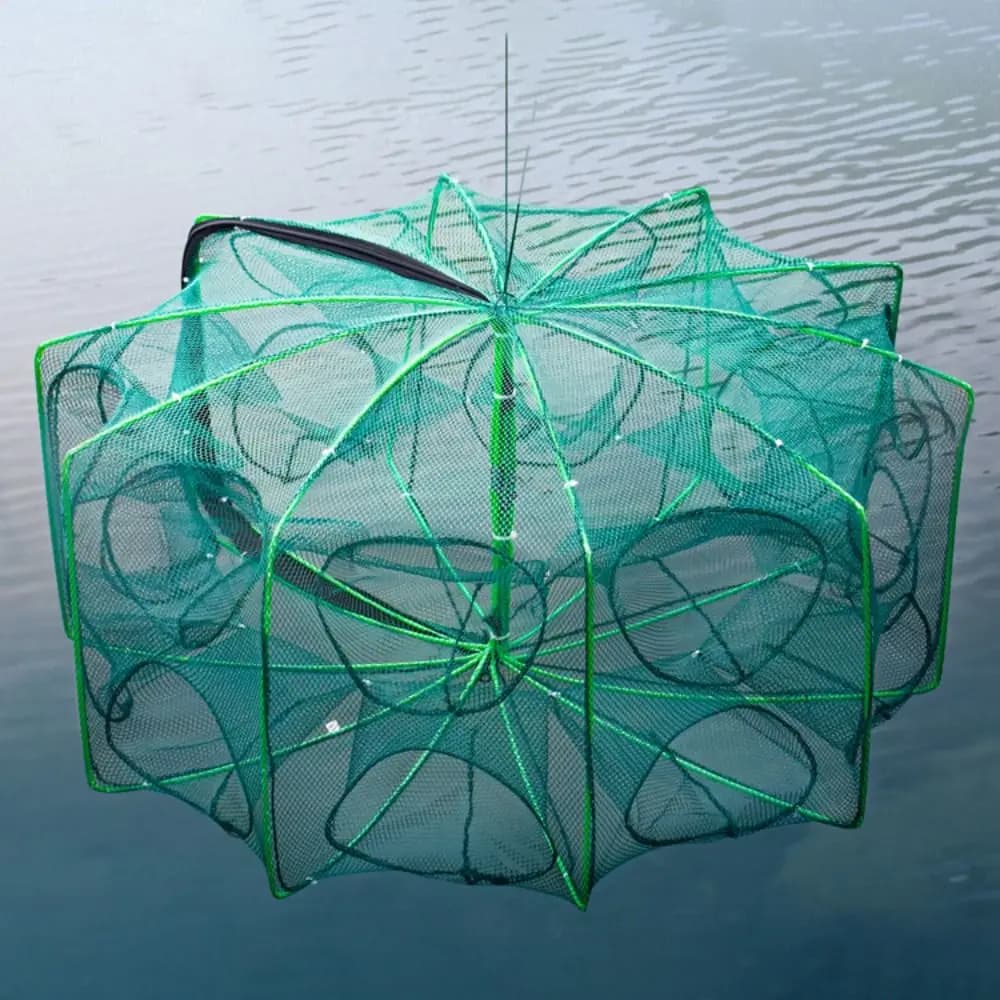 Filet de pêche pliable et durable 6 8 ou 10 trous vert pour écrevisses et crevettes