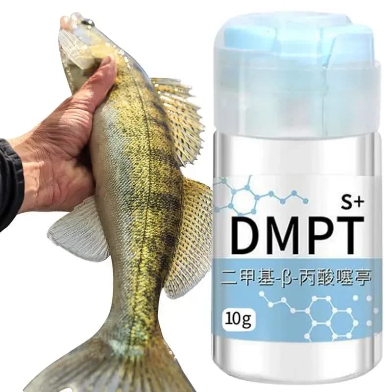 Gel attractant DMPT nouvelle formule pour carpe cruciane appât soluble irrésistible senteur