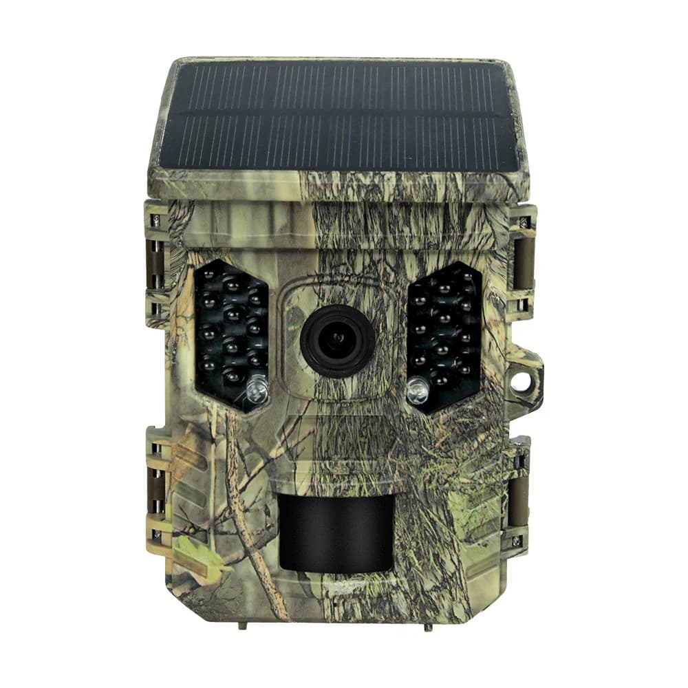 Caméra faune énergie solaire 4K 1080P - Vision nocturne étanche BT WiFi APP 16MP détection mouvement