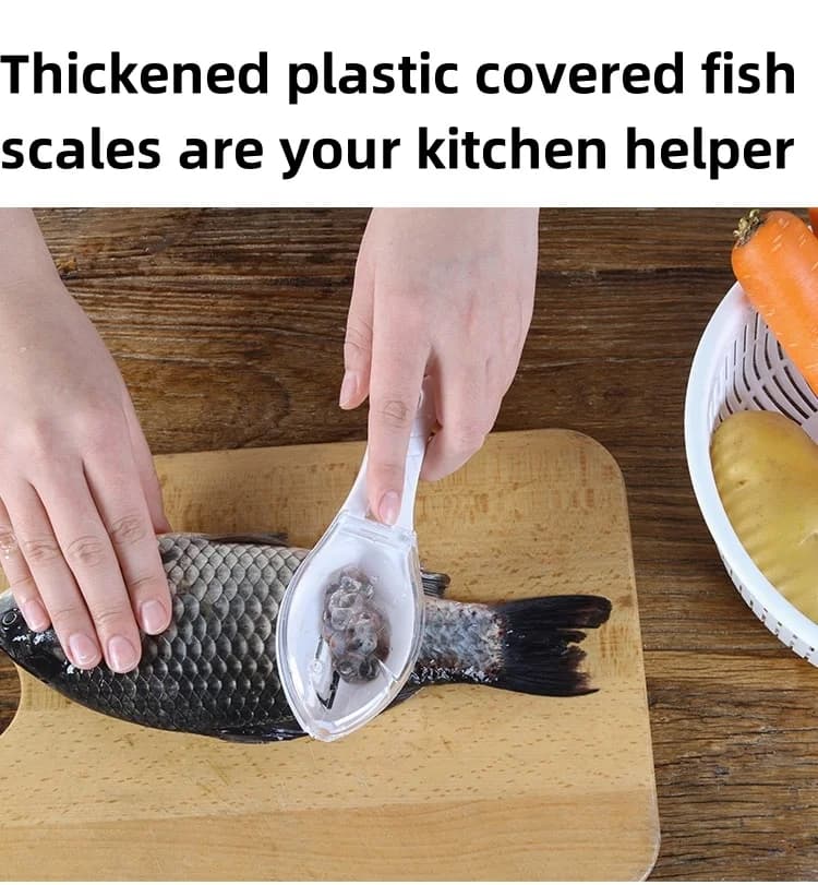 Racleur à écailles de poisson manuel avec couvercle, pour nettoyer et entretenir votre matériel de pêche