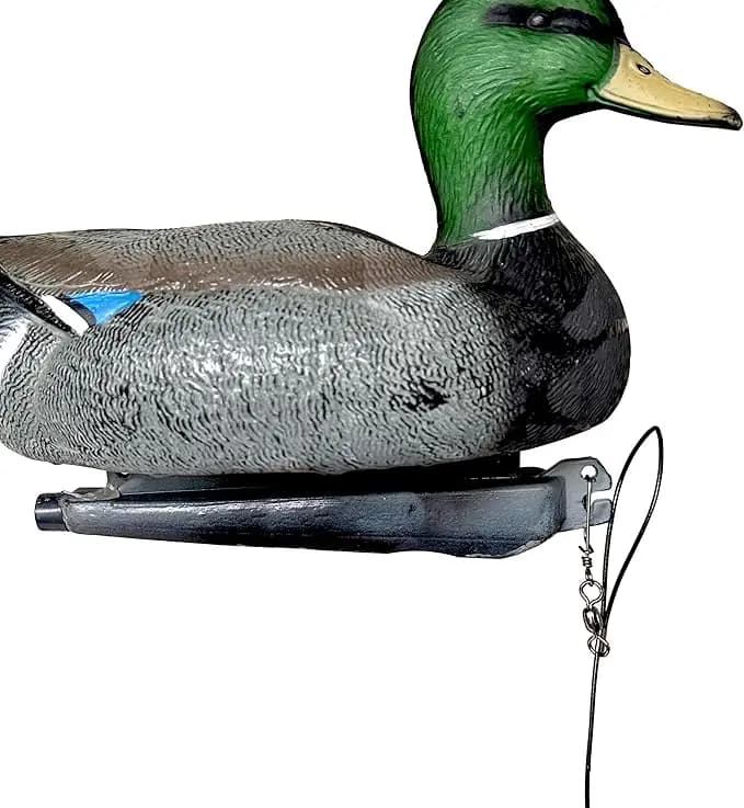 Rig de leurres canard 3M avec mousqueton doré - ancres robustes pour chasse au gibier d'eau