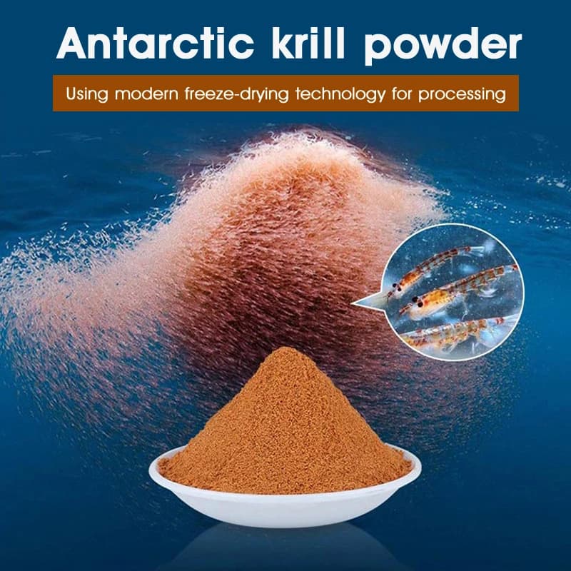 Poudre krill Antarctique 100g pour pêche - additif appât crevettes pêche hiver carpe compétition nourriture poisson