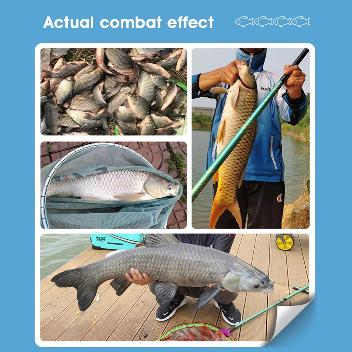 Appât pêche carpe et carassin 300g pâte poissonnée - version améliorée Dragon King