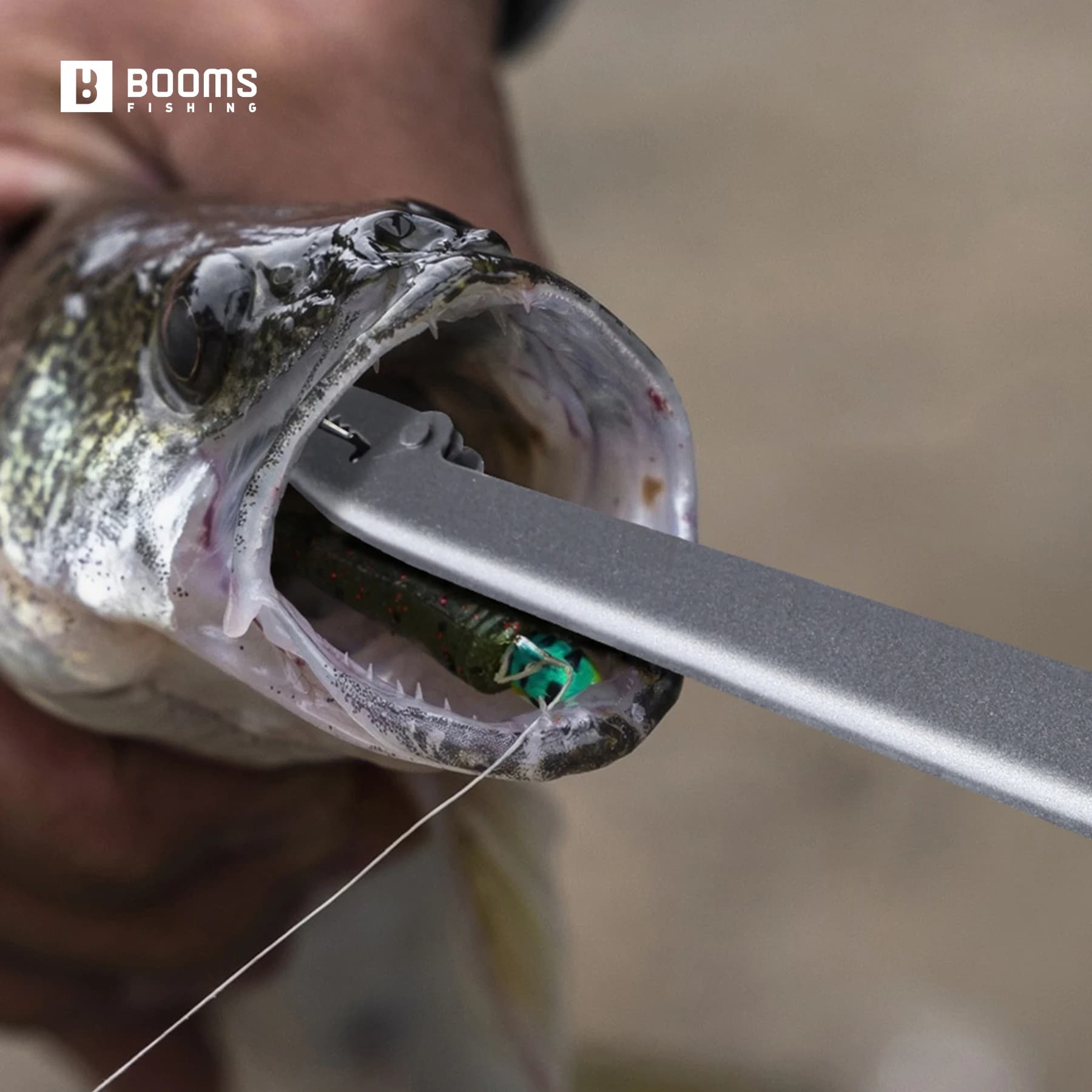 Décrocheur poissons acier carbone 25cm résistant corrosion pêche mer Booms R01
