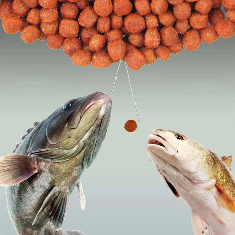 450 doses concentrées arômes appâts pêche additif saveurs pour équipements pêche attractant poissons