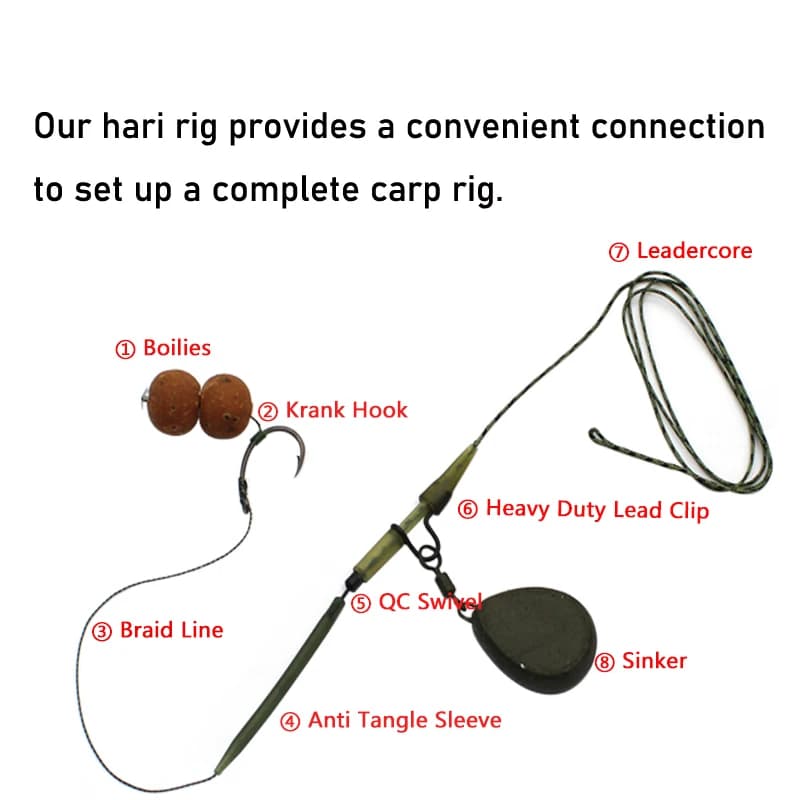 6 hameçons prémontrés pour la pêche à la carpe avec lignes cheveu et esches boilies, accessoires