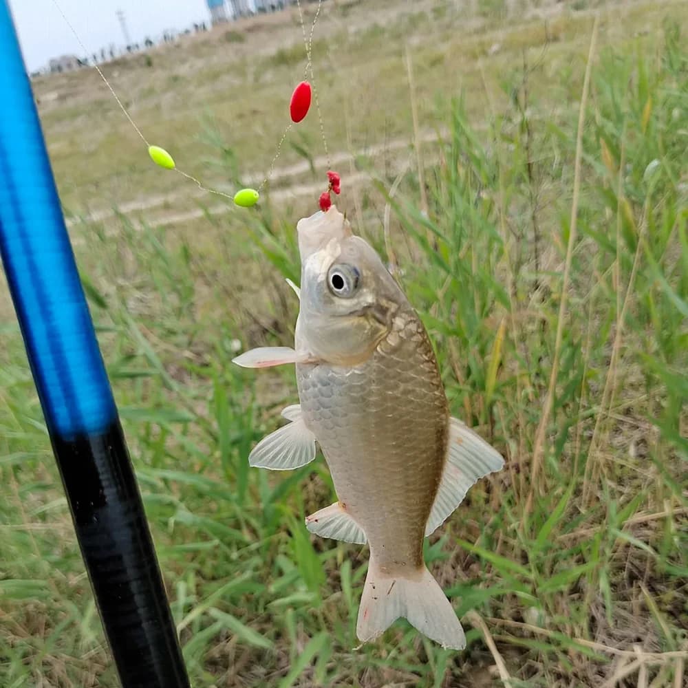 60 flotteurs pêche 6 en 1 type étoile - Perles en mousse stoppe-ligne 7 étoiles