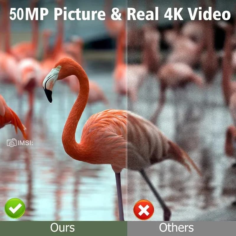 Caméra solaire 50MP 4K étanche détection mouvement - Sécurité jardin et surveillance de chasse extérieure