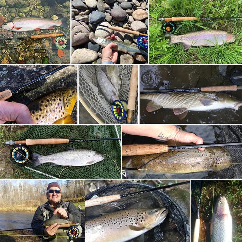 Canne à mouche nymphage NANO 10FT/11FT 2-4wt carbone IM12 action rapide pour truite en rivière