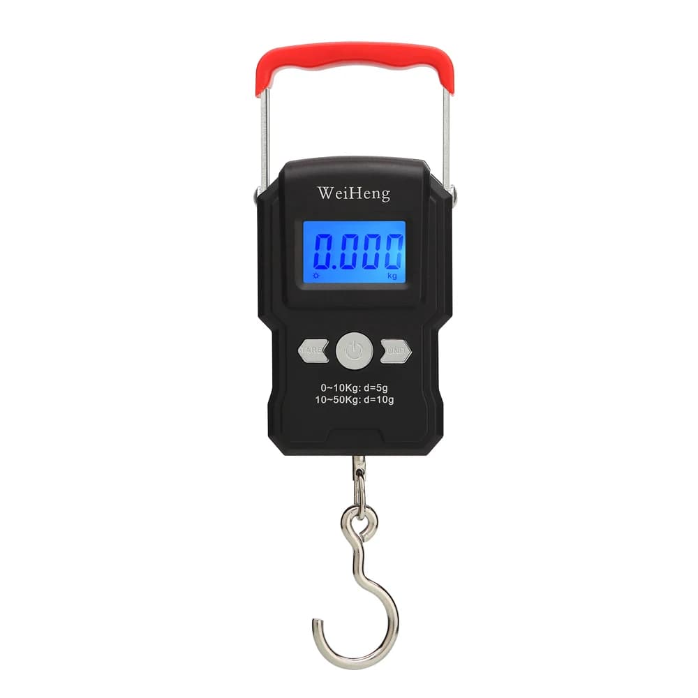 Balance digitale portable 50kg/5g double précision avec rétroéclairage pour pêche - Pèse-électronique haute précision
