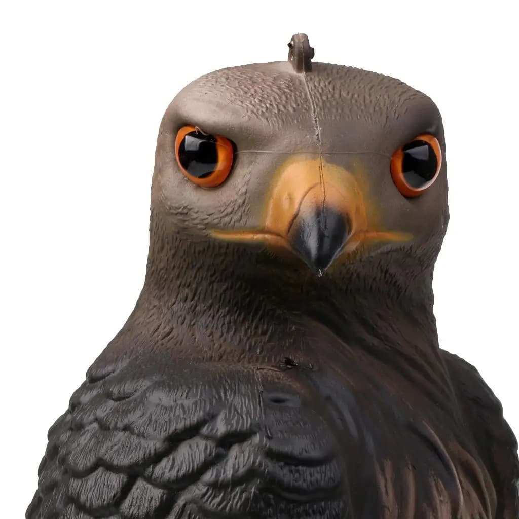 Aigle leurre stéréoscopique effaroucheur - Protection cultures jardin ferme outil chasse oiseaux prédateur