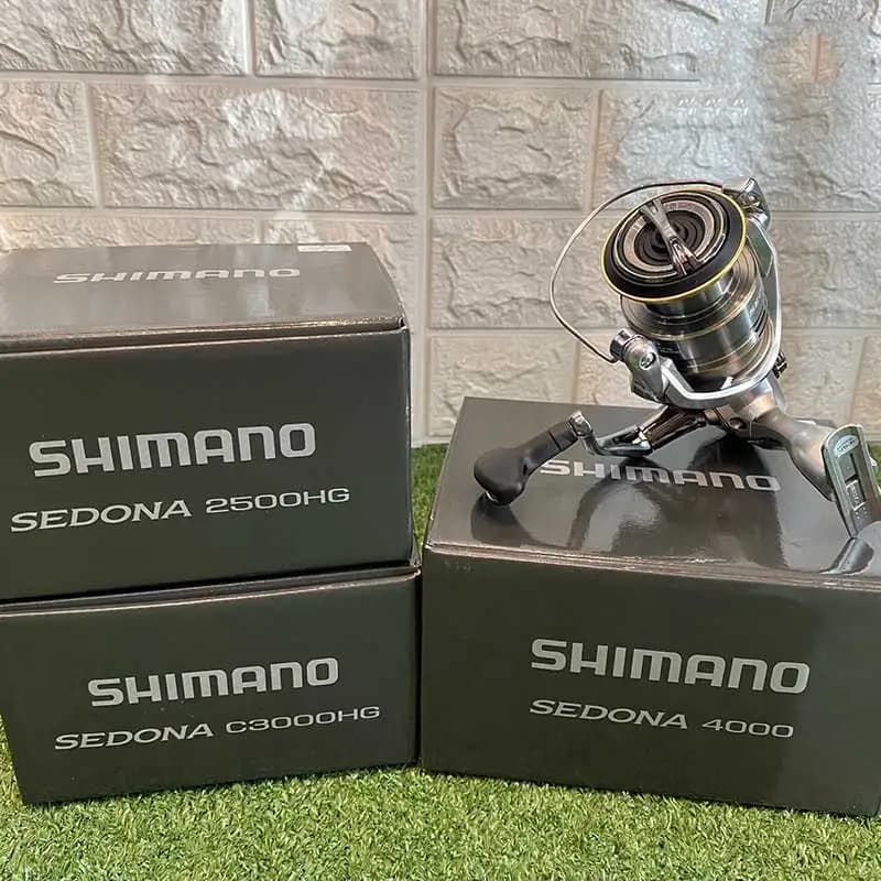 Moulinet pêche spinning Shimano Sedona 2023 frein avant 3+1BB pour pêche en mer et eau douce