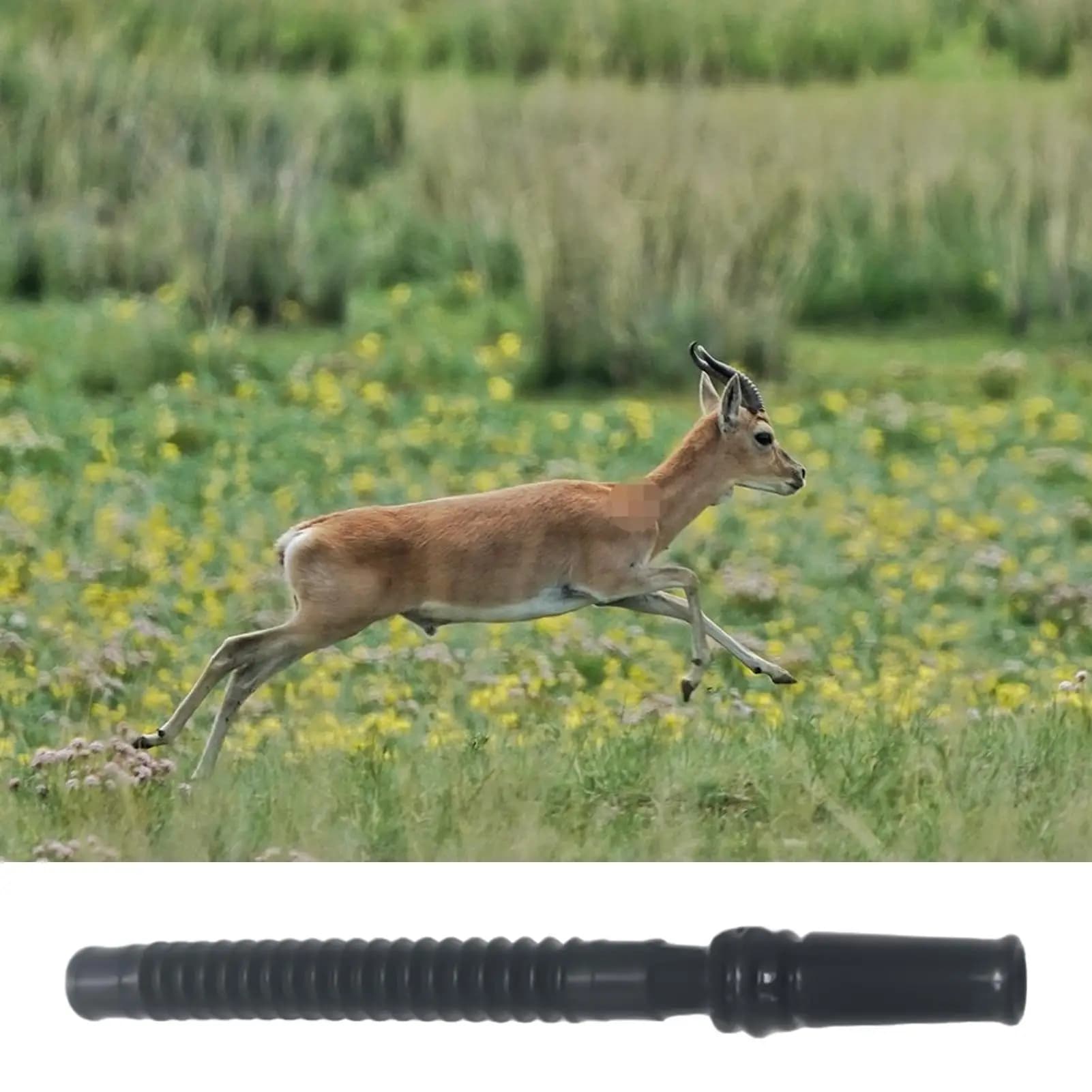 Appel de biche réaliste forêt - leurre vocal avec dragonne pour terrain boisé chasse
