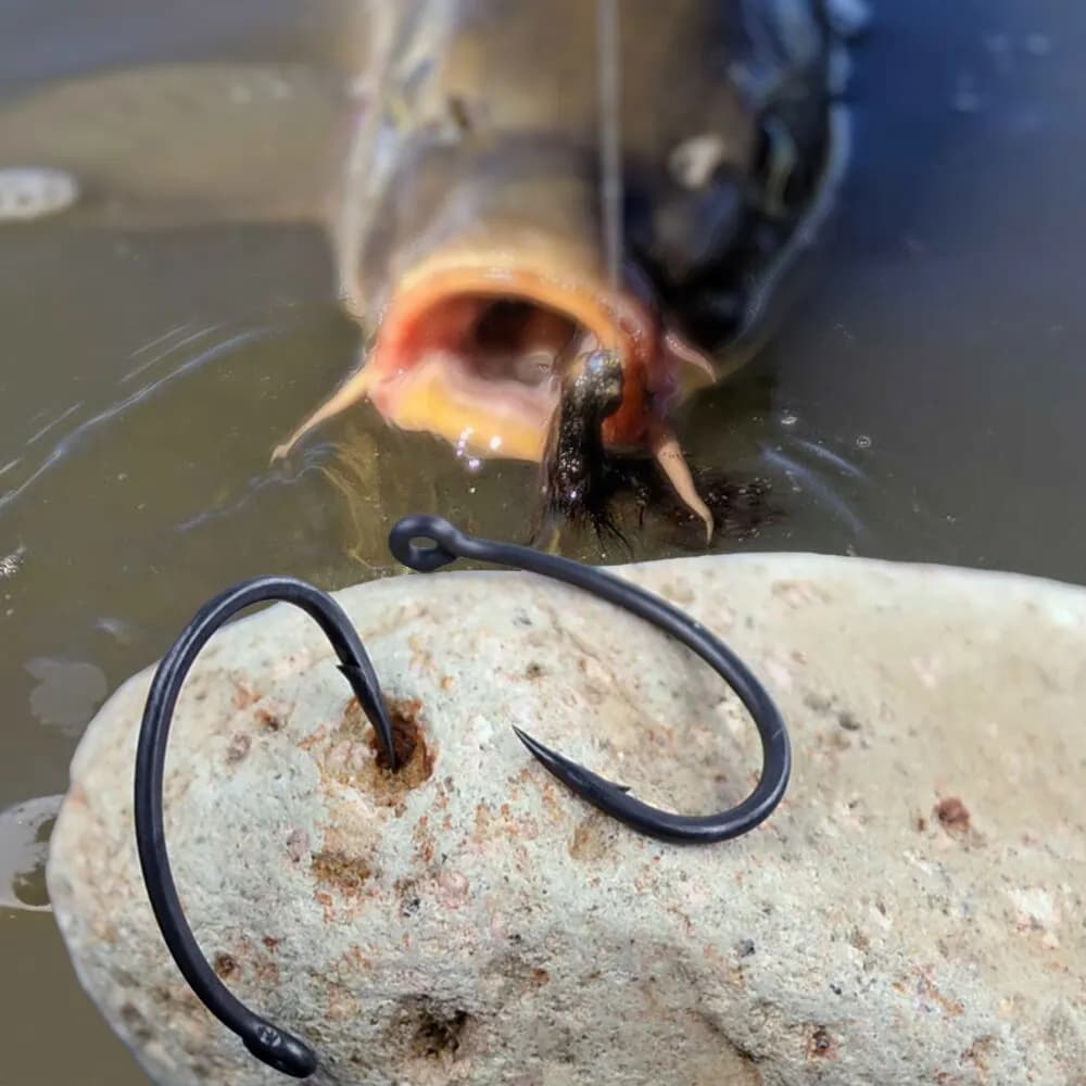 Hameçons de pêche à la carpe Hirisi 50 pièces PTFE acier carbone haute résistance boîte avec règle