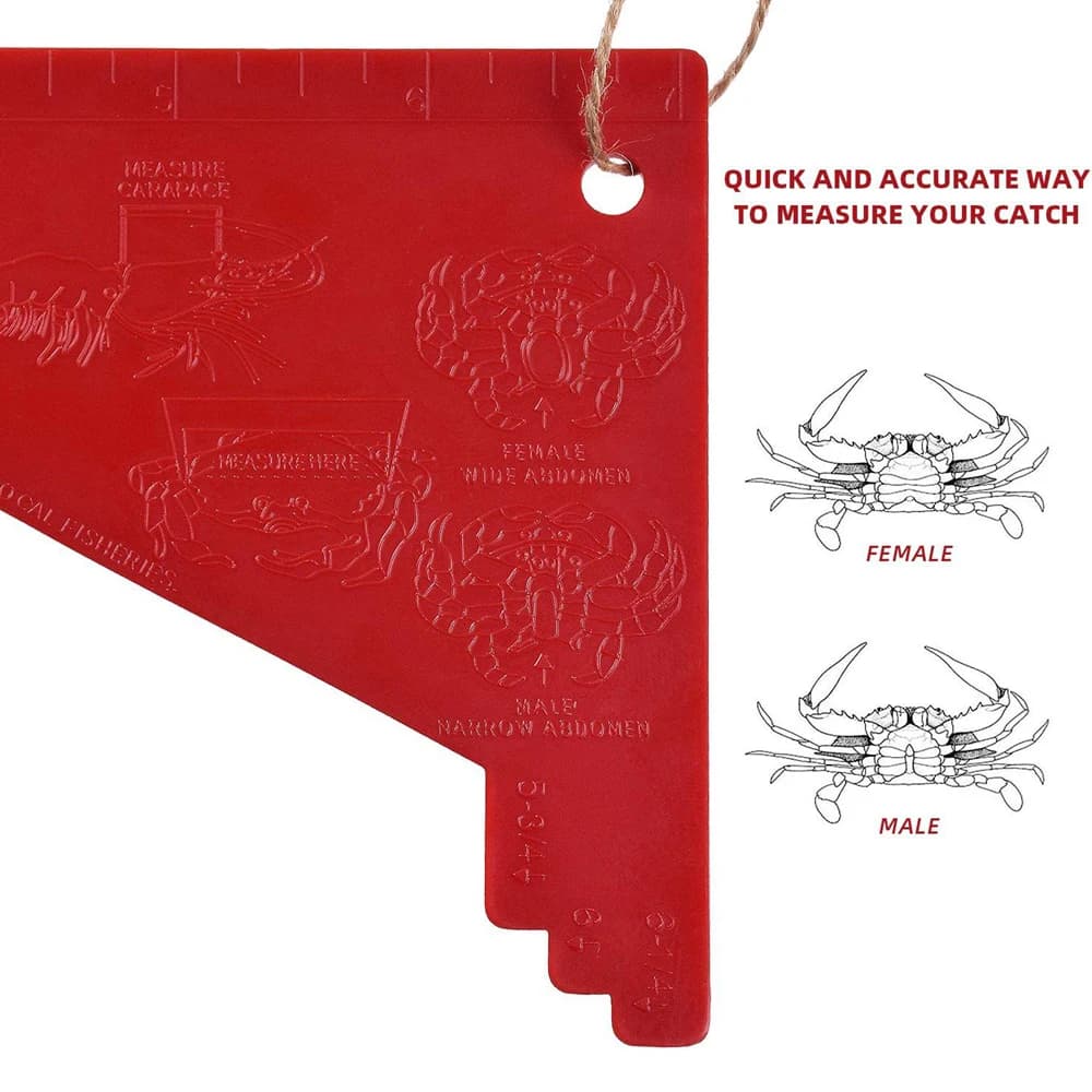 Jauge à crabes et crevettes mesure précise pour pêche équipement sportif durable