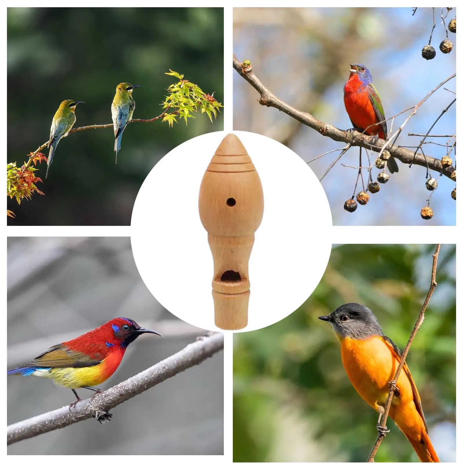 Sifflet oiseau en bois simulation son réaliste - Appelant leurre pour chasse observation nature adultes