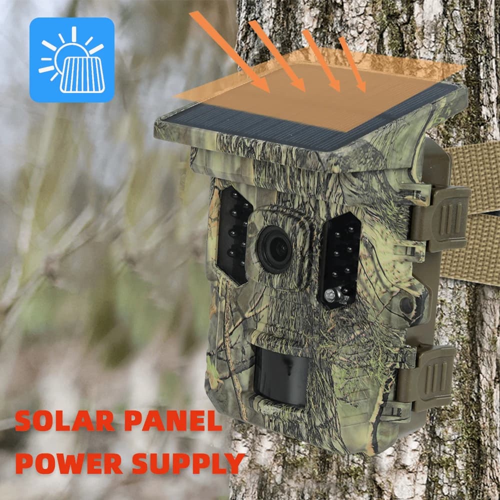 Caméra faune énergie solaire 4K 1080P - Vision nocturne étanche BT WiFi APP 16MP détection mouvement