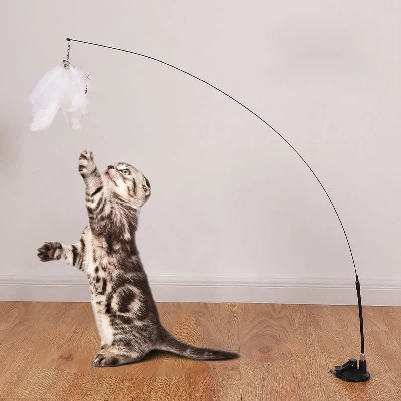 Jouet interactif chat sans mains - Canne à pêche plume oiseau ventouse - Jouet chat stimulant