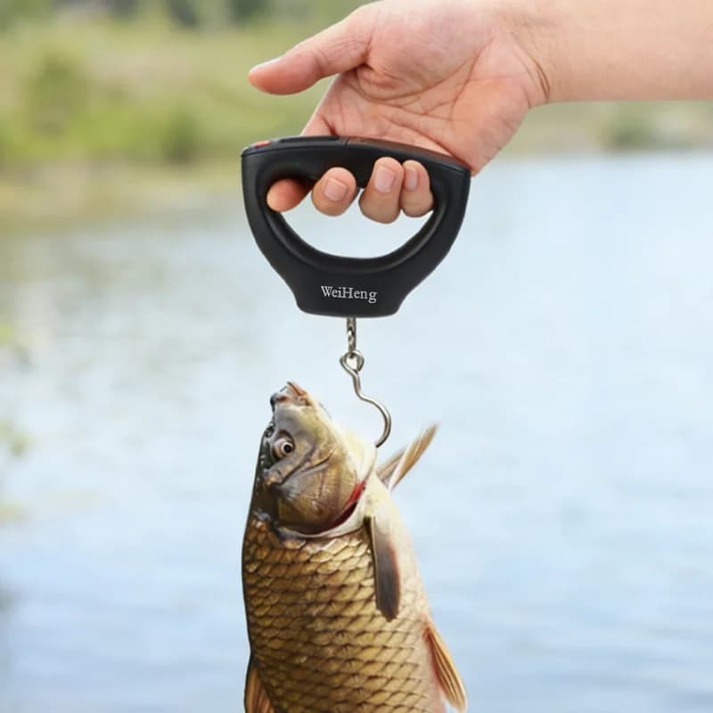 Balance portative WEIHE A24 pour pêche aux leurres - Pesée multi-scènes précise et compacte