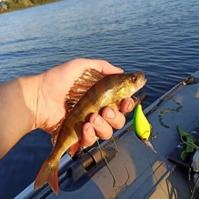 Leurre crankbait 13.6g 10cm minnow yeux 3D pour pêche brochet perche black bass carpe