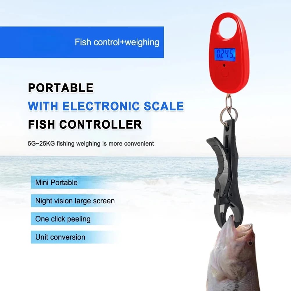Balance suspendue portable 20kg 3 modes - Avec pinces à poissons pour pêche en extérieur