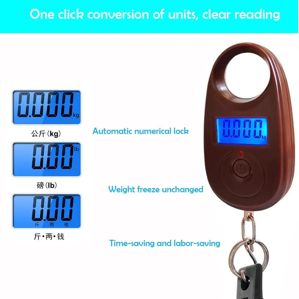 Pince à lèvres pour poissons avec balance électronique 55 livres - Gripper pêche multifonction sans perforation