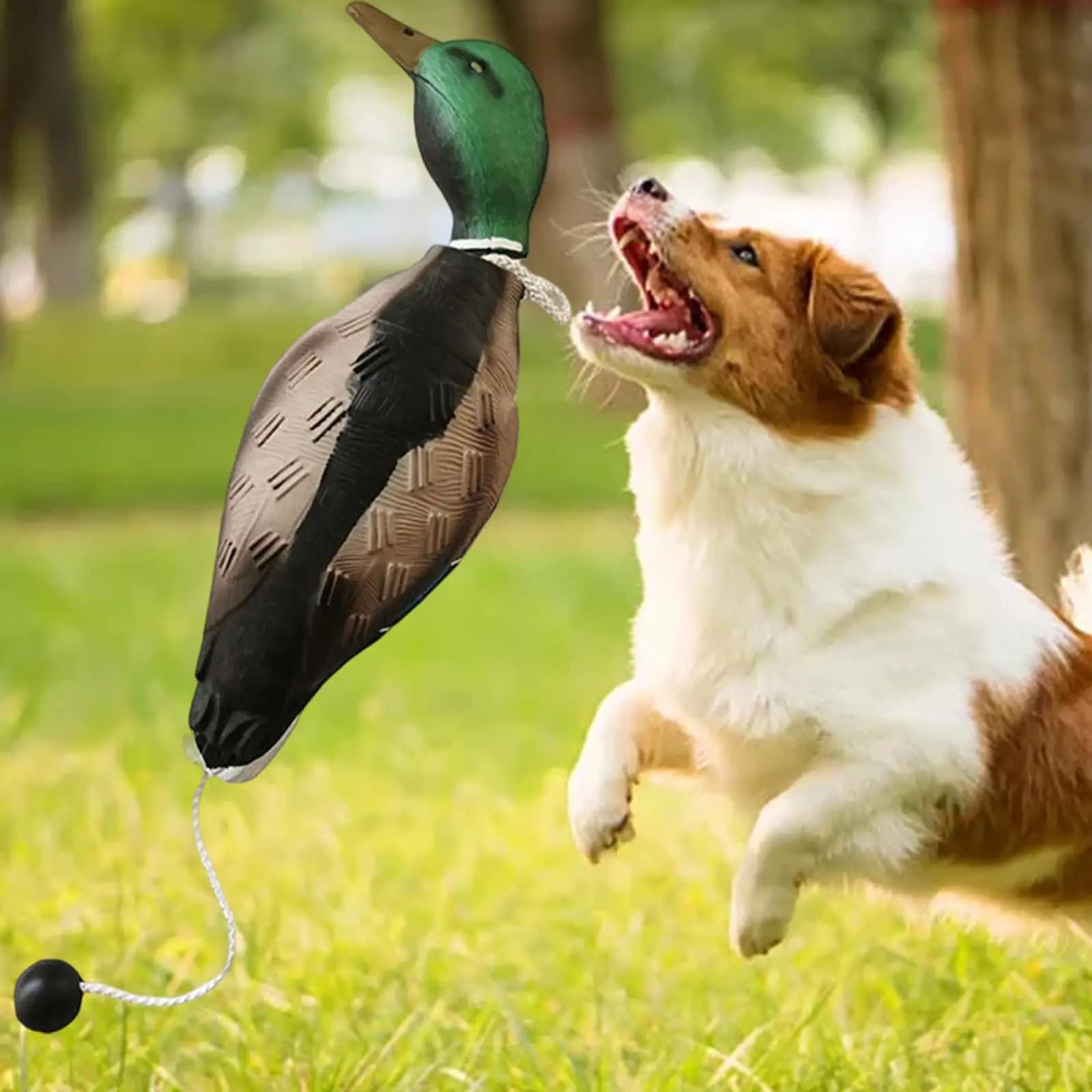 Leurre canard colvert EVA pour chasse et décoration camping - Déco étang et extérieur
