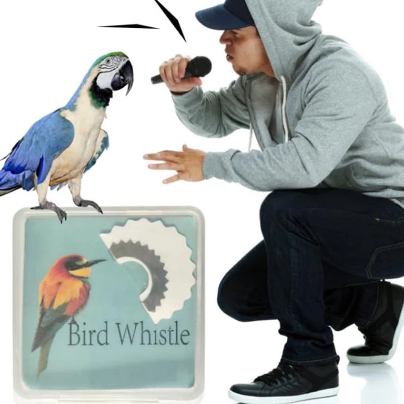 Sifflet oiseau caché bouche - Appel aviaire réaliste pour techniques pêche discrètes et efficaces